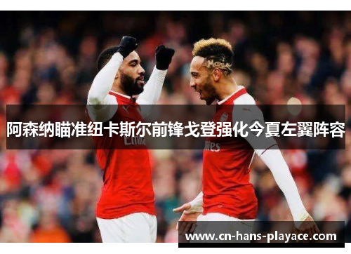 阿森纳瞄准纽卡斯尔前锋戈登强化今夏左翼阵容